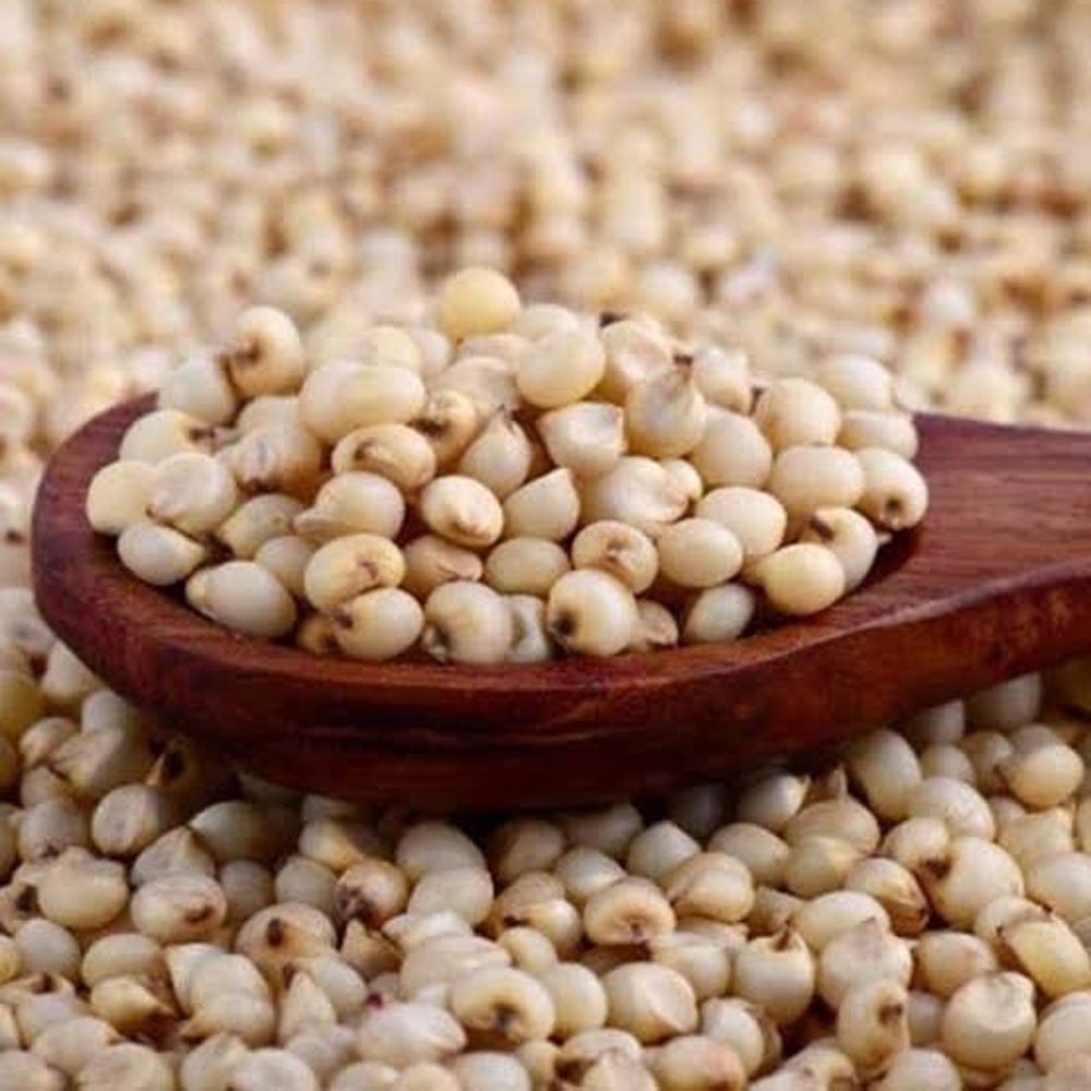 Jawar (Sorghum)